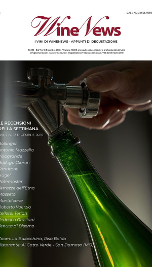 I Vini di WineNews