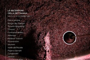 I Vini di WineNews - N. 393