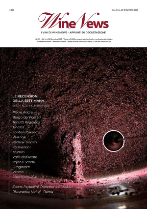 I Vini di WineNews - N. 393