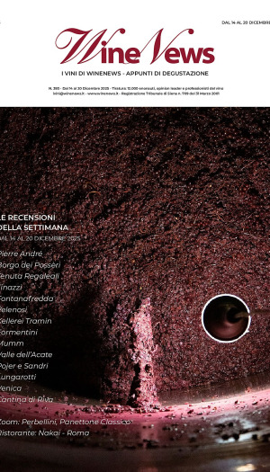 I Vini di WineNews