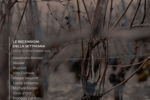 I Vini di WineNews - N. 394