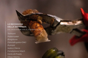 I Vini di Winenews - N. 395