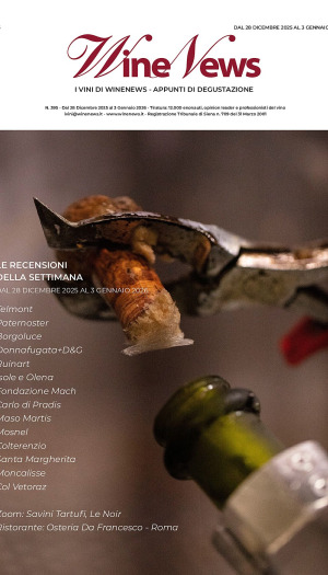 I Vini di WineNews