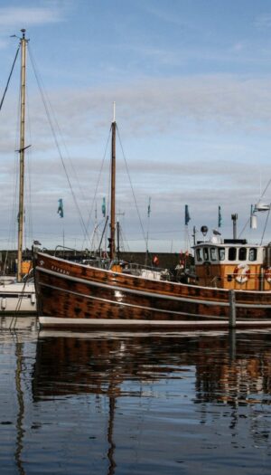 Taglio del 63% ai fondi Ue per la pesca: allarme delle Cooperative Italiane Pesca e Acquacoltura