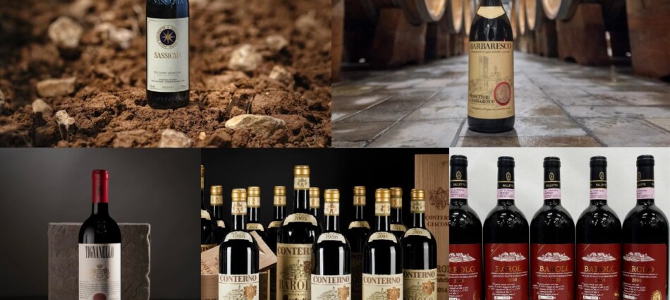 Tenuta San Guido e Produttori del Barbaresco, i &ldquo;campioni&rdquo; del 2025 sul Liv-Ex