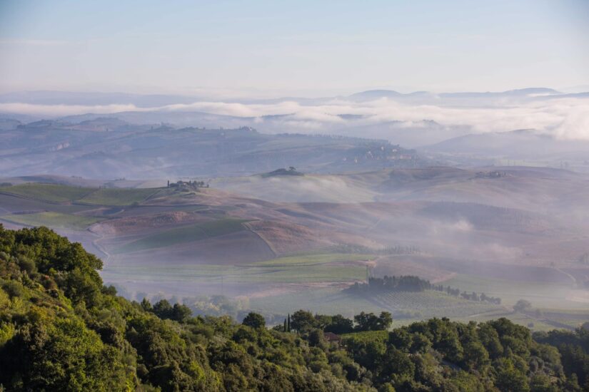 BRUNELLO, DATI, MONTALCINO, PROMOZIONE, RESILIENZA, TEMPESTA PERFETTA, Su i Quaderni di WineNews