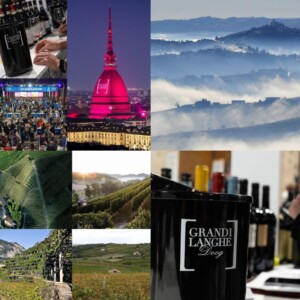 &ldquo;Grandi Langhe e il Piemonte del vino&rdquo;, racconto corale di una delle regioni top del vino italiano