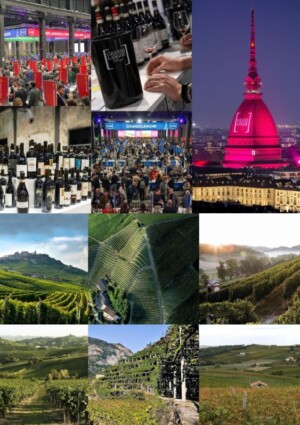 &ldquo;Grandi Langhe e il Piemonte del vino&rdquo;, racconto corale di una delle regioni top del vino italiano