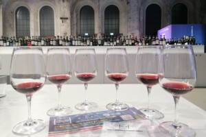 &ldquo;Grandi Langhe e il Piemonte del vino&rdquo; 2026, nel calice le nuove annate delle Dop piemontesi