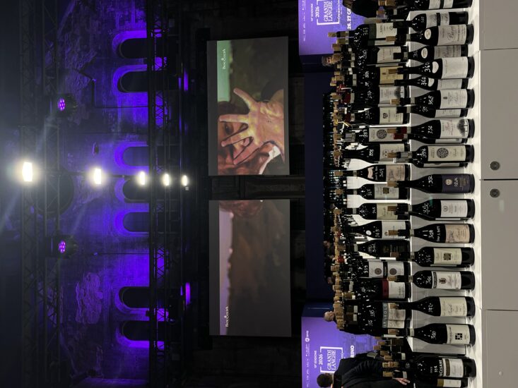 “Grandi Langhe ed il Piemonte del Vino” 2026 a Torino