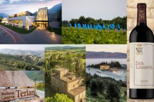 Vino & critica: nessuna etichetta, e nessuna azienda, mette d&rsquo;accordo le 9 guide &ldquo;nazionali&rdquo;