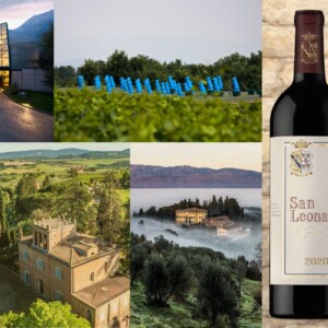 Vino & critica: nessuna etichetta, e nessuna azienda, mette d&rsquo;accordo le 9 guide &ldquo;nazionali&rdquo;