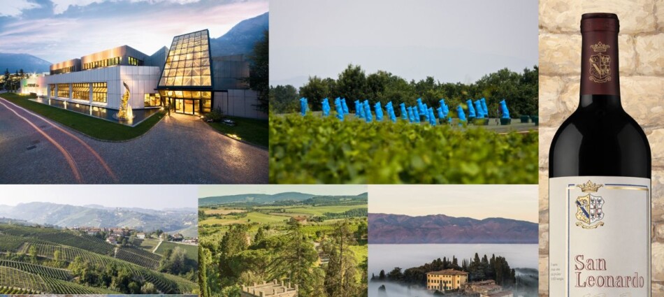 Vino & critica: nessuna etichetta, e nessuna azienda, mette d&rsquo;accordo le 9 guide &ldquo;nazionali&rdquo;