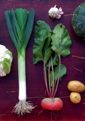 Iside, Verdura di stagione