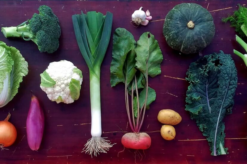 A tavola, La dispensa, Su i Vini di WineNews