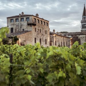 New entry nel segno dell&rsquo;eccellenza: la storica cantina abruzzese Masciarelli entra in Altagamma