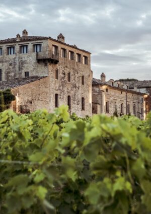 New entry nel segno dell&rsquo;eccellenza: la storica cantina abruzzese Masciarelli entra in Altagamma