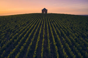 Lvmh, la divisione &ldquo;Champagne & Wine&rdquo; frena nei ricavi: -2,9% nel 2025