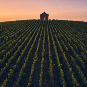 Lvmh, la divisione &ldquo;Champagne & Wine&rdquo; frena nei ricavi: -2,9% nel 2025