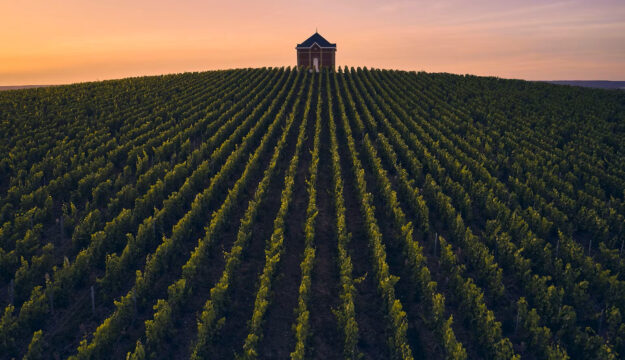 Lvmh, la divisione &ldquo;Champagne & Wine&rdquo; frena nei ricavi: -2,9% nel 2025