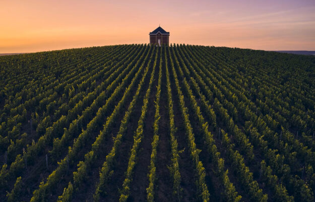 ARNAULT, FINE WINES, GRUPPO LVMH, RICAVI, Mondo