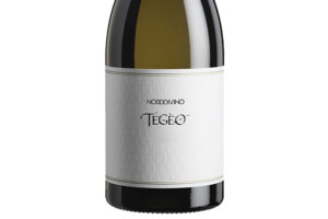 Nododivino,Doc Abruzzo Pecorino Superiore Teg&egrave;o 2021