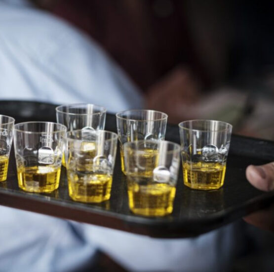 Il mondo dell’olio italiano e di Paesi anche lontanissimi si racconta ad  “Olio Officina Festival” a Rho