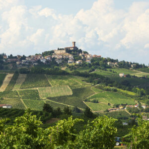 L&rsquo;Oltrep&ograve; Pavese, terra del Pinot Nero, e casa della nuova community &ldquo;Visione Vino&rdquo; di Teha