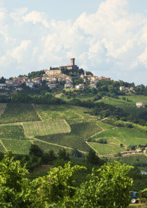 L&rsquo;Oltrep&ograve; Pavese, terra del Pinot Nero, e casa della nuova community &ldquo;Visione Vino&rdquo; di Teha