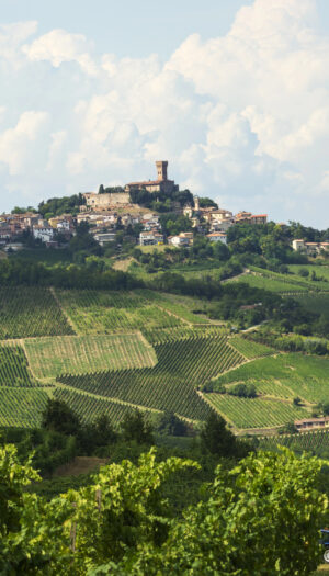 L&rsquo;Oltrep&ograve; Pavese, terra del Pinot Nero, e casa della nuova community &ldquo;Visione Vino&rdquo; di Teha