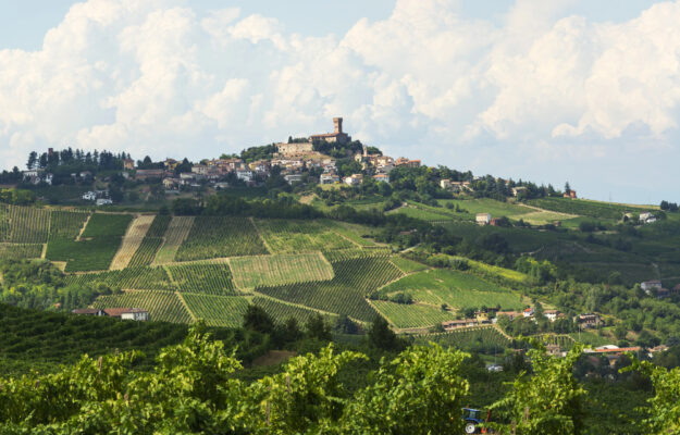 COMMUNITY VISIONE VINO, CONSORZIO OLTREPÒ PAVESE, OLTREPÒ PAVESE, PINOT NERO, TEHA, THE EUROPEAN HOUSE AMBROSETTI, VOGHERA, Italia