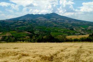 Storia millenaria e sguardo al futuro; il pilastro Aglianico, e non solo: la Basilicata del vino