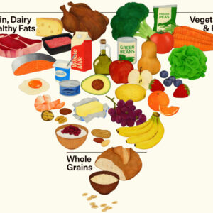 Le nuove Linee Guida Alimentari in Usa: pi&ugrave; proteine, nessuna quantit&agrave; di alcol indicata come soglia