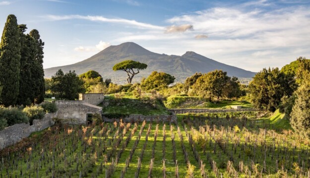 La vigna rinasce a Pompei: il Parco Archeologico e Feudi di San Gregorio presentano il progetto