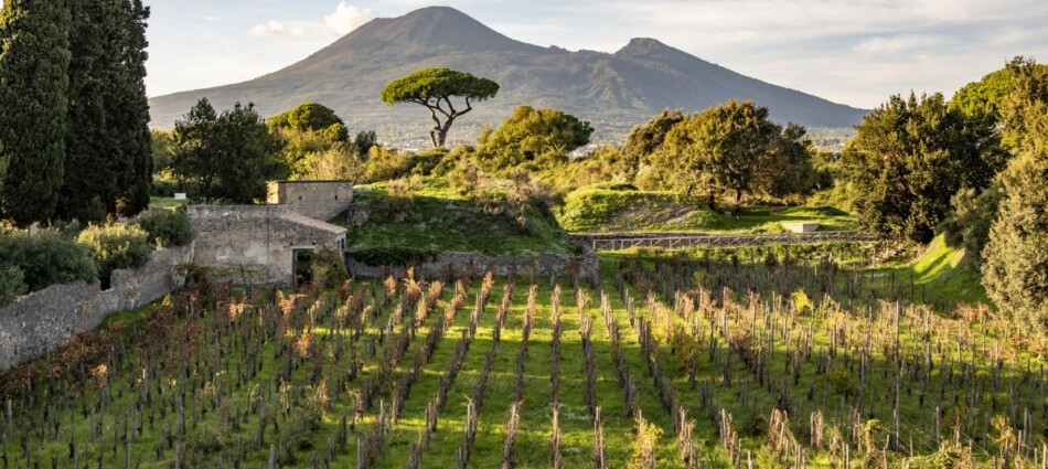 Attilio Scienza e la &ldquo;nuova viticoltura di Pompei&rdquo;, un modello interpretativo per tutta l&rsquo;Italia