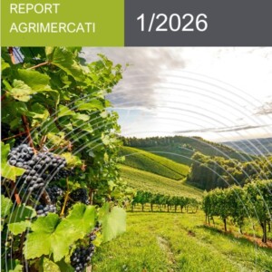 Agroalimentare italiano da record: a novembre 2025 export a 67 miliardi di euro (+5%)