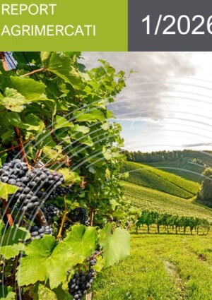 Agroalimentare italiano da record: a novembre 2025 export a 67 miliardi di euro (+5%)