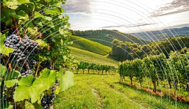 Agroalimentare italiano da record: a novembre 2025 export a 67 miliardi di euro (+5%)