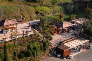 Agriristoro Maccari - Montalcino (SI)