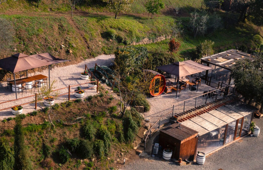 AGRIRISTORO MACCARI, MONTALCINO, RISTORANTE, SIENA, Ristoranti ed Enoteche, Su i Quaderni di WineNews