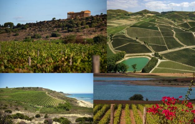2025 difficile. Ma per la Sicilia, ormai tra i pilastri del vino italiano, il bilancio &egrave; positivo