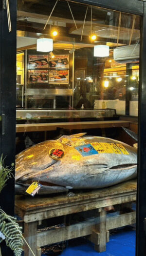 Il tonno rosso pi&ugrave; caro di sempre nella prima asta dell&rsquo;anno a Tokyo: venduto a 2,8 milioni di euro