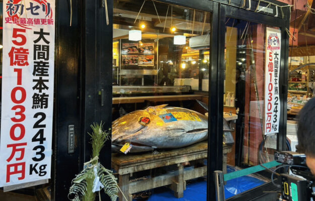 ASTA, GIAPPONE, MERCATO DEL PESCE, SUSHI, TOKYO, TONNO ROSSO, Non Solo Vino