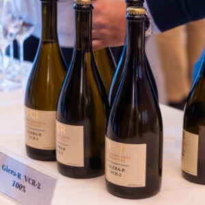 Nasce la Glera del futuro: 7 nuove variet&agrave; resistenti per il domani del &ldquo;mondo Prosecco&rdquo;