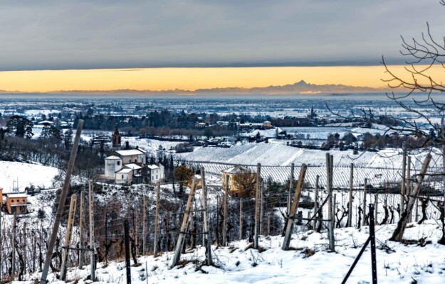 CLASSESE, CONSORZIO OLTREPÒ PAVESE, METODO CLASSICO, OLTREPÒ PAVESE, PINOT NERO, Italia