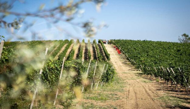 Terre d&rsquo;Oltrep&ograve;: vertice in Regione Lombardia, con al tavolo anche Collis Veneto Wine Group