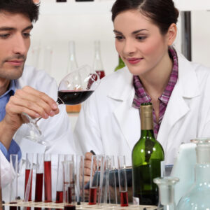 Nasce il &ldquo;Polo Vitivinicolo del Triveneto&rdquo;, un modello innovativo per la tracciabilit&agrave; del vino