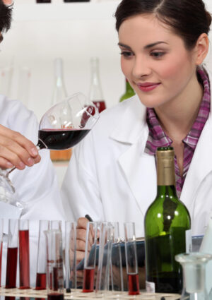 Nasce il &ldquo;Polo Vitivinicolo del Triveneto&rdquo;, un modello innovativo per la tracciabilit&agrave; del vino