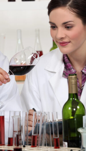 Nasce il &ldquo;Polo Vitivinicolo del Triveneto&rdquo;, un modello innovativo per la tracciabilit&agrave; del vino