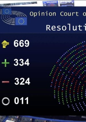 Il Parlamento Ue &ldquo;stoppa&rdquo; l&rsquo;accordo con il Mercosur. Deluso il vino, esulta l&rsquo;agricoltura